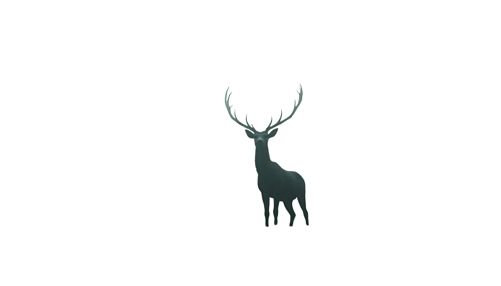 Stag Illustration
